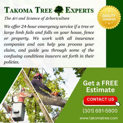 Takoma Tree Experts