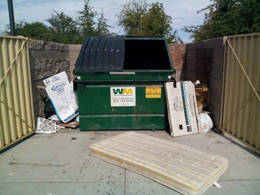 Dumpster Enclosure Clean Out