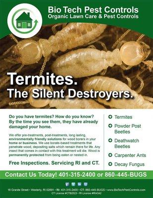 Safe Termite Treatments