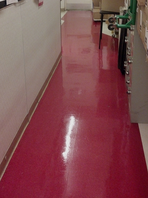 Re-Nu Professional Carpet Care will clean, protect, and maintain all types of tile & grout, wood, and other floorings.