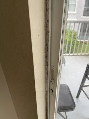 Mold balcony