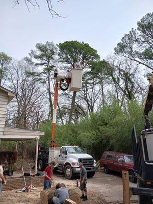 Afford Tree Service