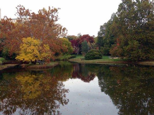 Backyard view of GPIV in Fall Beautiful Neighborhood and common area!