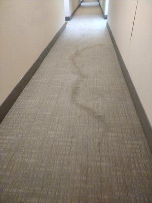 3rd floor hallway when laundry room flooded and water ran in hall