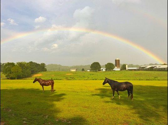 Shel-Clair Farms