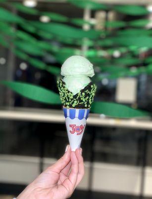 Mint custard in a chocolate dipped waffle cone with green sprinkles for St. Patrick's day!