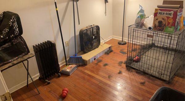 "Pet room" before and after