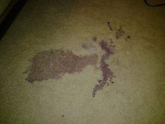 This was a grape juice stain