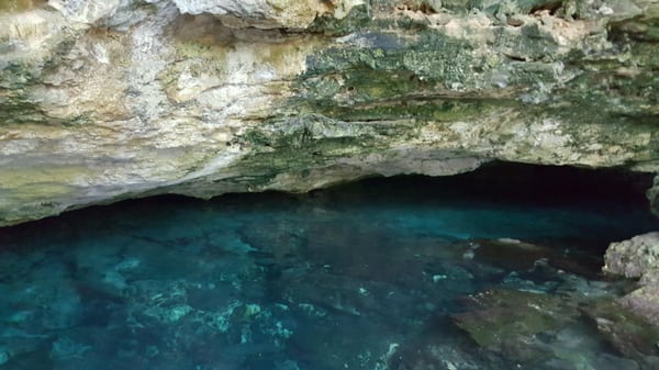 Cenote or Sink hole in Cancun....looks like someone added blue dye to the water....#flawlesswater #naturalbeauty