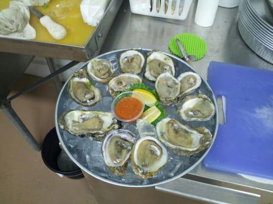 DawgHouse "Naked" Oysters