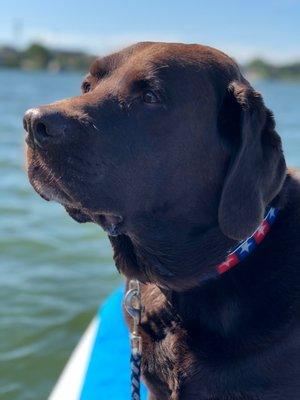 Dash out paddleboarding with his mom