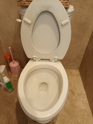 Bathroom Toilet (After)