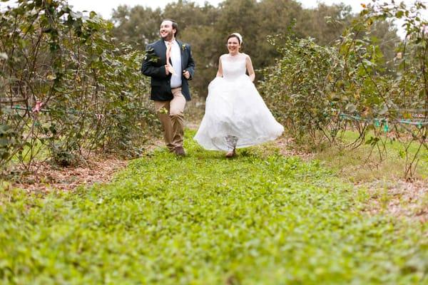 Florida Wedding Photographer