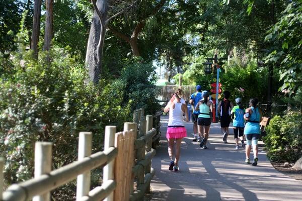 Running through the zoo.