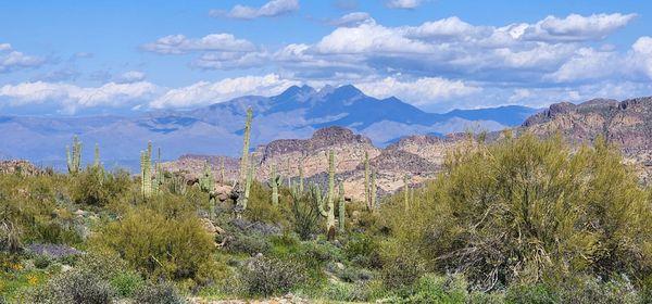 Sometimes the puffy white clouds will make the views of Four Peaks Mountains look purple.