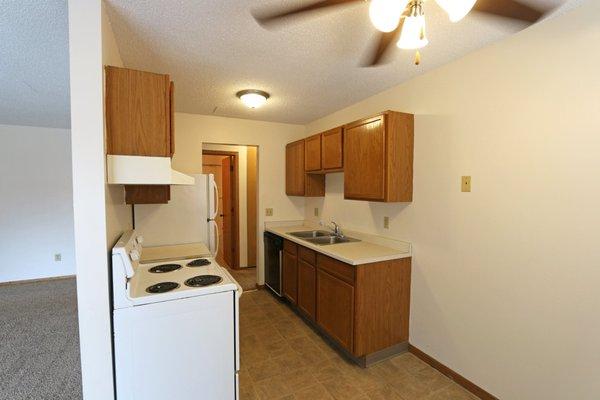 Van Dyke Apartments for rent in St. Paul