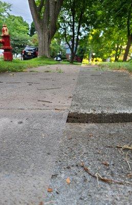 Concrete Leveling & Lifting - Sidewalk