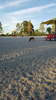 Very nice park equipped with poop stations, water stations, benches, etc.