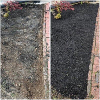 First photo we removed old mulch and discarded weed riddled fabric, cleaned up the edge. Last pic is final with new mulch added