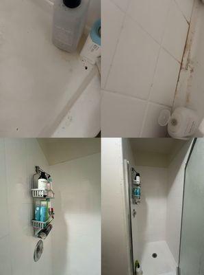 Bathroom in Beverly Hills apt before/after