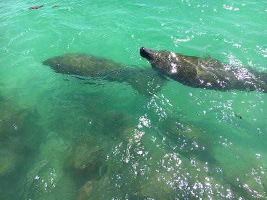 Longboat Bay Charters