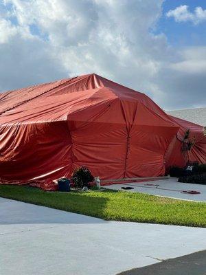 Tented home