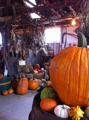 Quaint shop inside barn