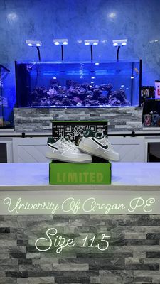 University Of Oregon PE Airforces