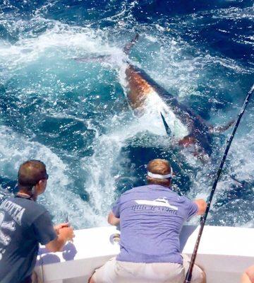 Hows that for a big blue marlin..!!  "What a day"