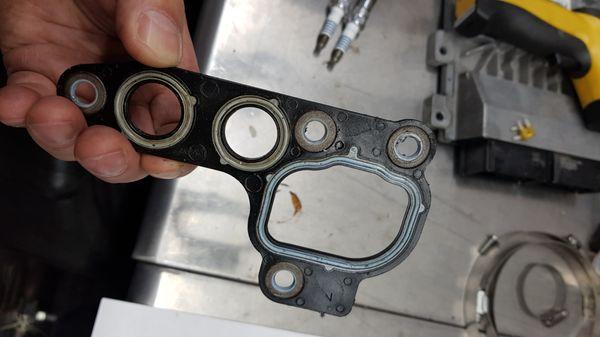 Original Ford gasket removed from vehicle after repairs at F&L Service Center. Thief Leandro Zanoni told me he replaced the gasket.