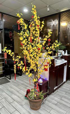 New decor for the upcoming Vietnamese New Year - Têt