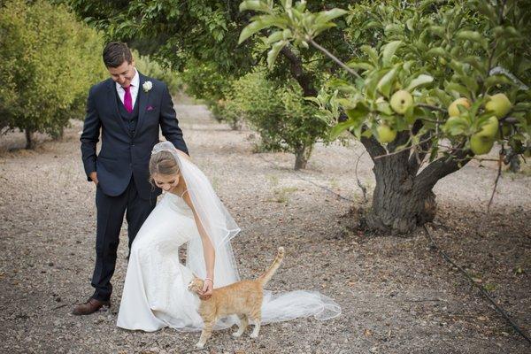 Bonus: sweet cats roam the property & photobomb wedding pictures