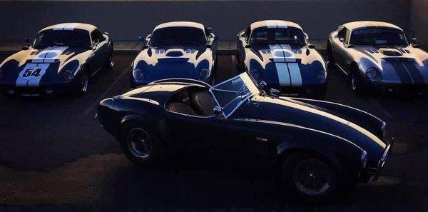 Steve Wood's Panavia Cobra & Daytonas