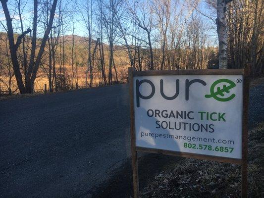 A Pure Solutions lawn sign!