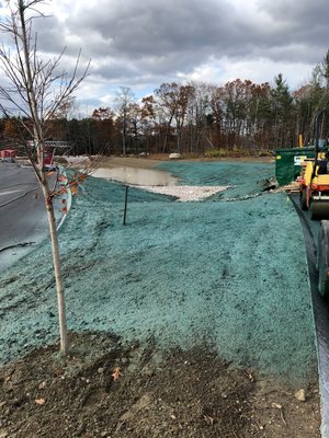 Hydroseed construction site.