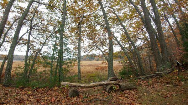 Spear Farm Estuary Preserve from autumn of '17.