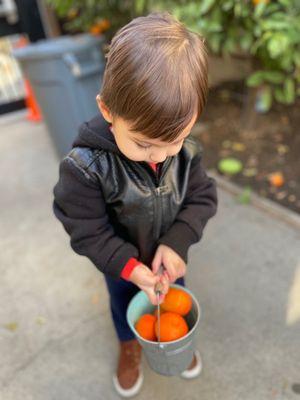 Calaveras Montessori School of Silicon Valley