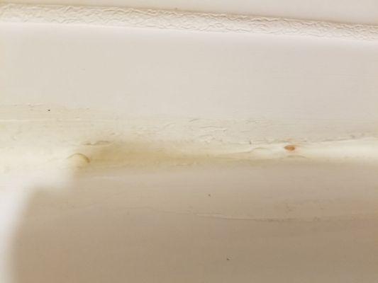 Hairs & other grime on grout line of bathtub