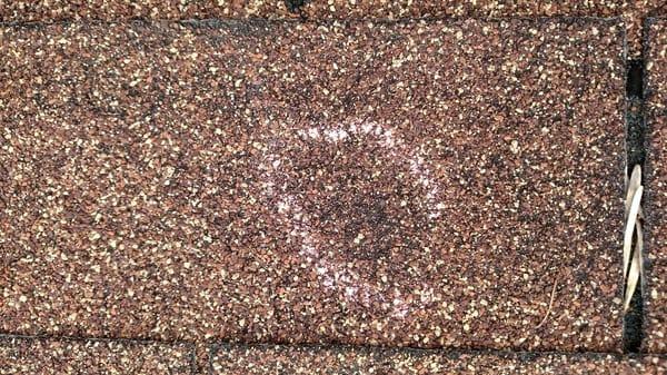 Hail Damaged Shingle