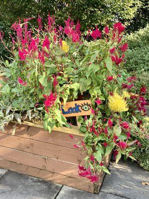 Colorful Planter