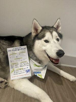 Post-bath bandana and the CUTEST report card ever!