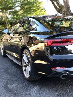 Exterior polish + sealant on this Audi