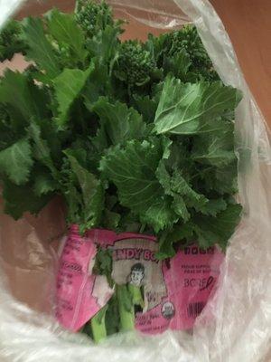 Rapini