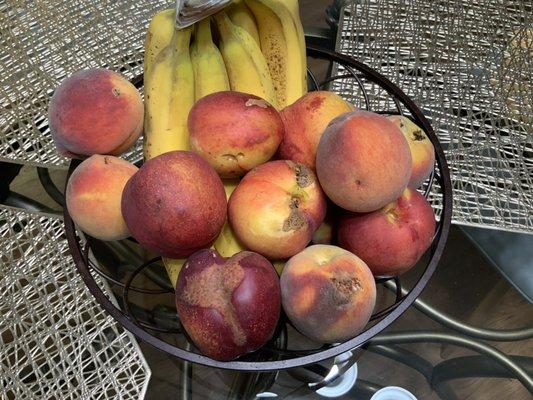 Bug or bird eaten fruits.