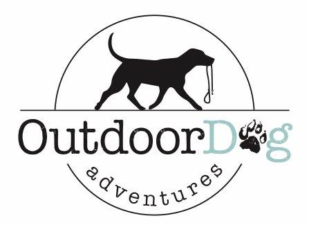 Outdoor Dog Adventures