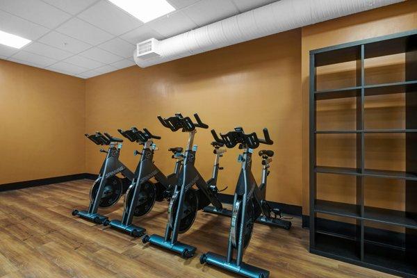 Large selection of Virtual Classes available 24/7 On-Demand including Spin and Virtual Cycling!