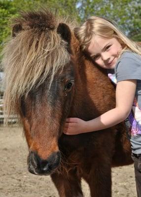 Healing With Horses at WildRose Horse Farm, Inc. 501(c)3