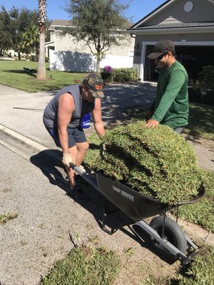 Need sod? We can do that!