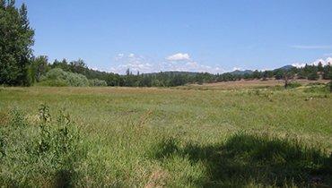 Pasture Boarding - Horse Boarding