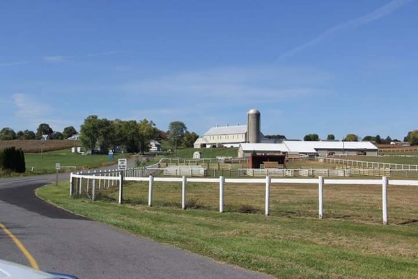 Star Equestrian Center